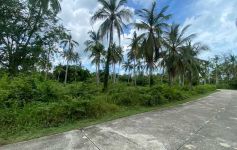 3,200 Sqm of Flat Land in Lipa Noi